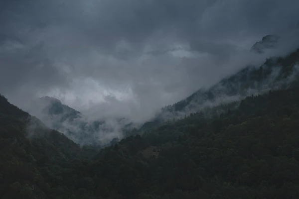Graue Wolken (Symbolbild) / Egor Myznik / Unsplash