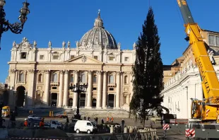 Aufbau des Weihnachtsbaums auf dem Petersplatz im Vatikan am 30. November 2020. / EWTN News / CNA Deutsch