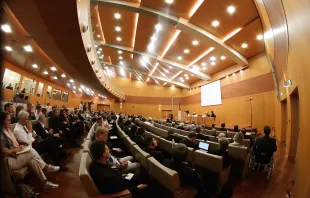 Rege Aufmerksamkeit: Wegen des großen öffentlichen Interesses wurde das Symposium an einen größeren Veranstaltungsort verlegt / Evandro Inetti / CNA Deutsch