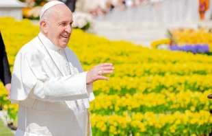 Papst Franziskus bei der Generalaudienz auf dem Petersplatz am 24. April 2019 / Lucia Ballester / CNA Deutsch