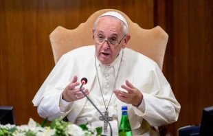 Past Franziskus in seiner Eröffnungsrede am 7. Oktober 2019 / Daniel Ibanez / CNA Deutsch