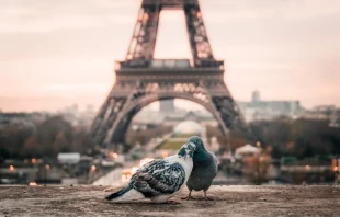 Trocadéro, Paris, France / Fabrizio Verrecchia / Unsplash (CC0) 