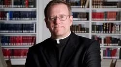 Bischof Robert Barron / CNA