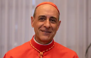 Kardinal Víctor Manuel Fernández / Daniel Ibáñez / CNA Deutsch