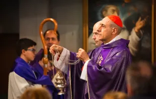 Kardinal Víctor Manuel Fernández / Elizabeth Alva / CNA Deutsch