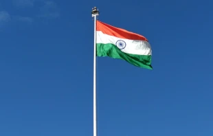 Flagge von Indien / Mitul Gajera / Unsplash