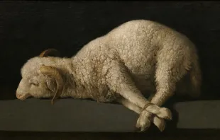 Agnus Dei – Das Lamm Gottes – von Francisco des Zurbarán entstand um 1640. Das Original hängt heute im Museo del Prado. / Gemeinfrei (CC0)