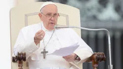 Papst Franziskus bei der Generalaudienz am 20. September 2023 / Daniel Ibáñez / CNA Deutsch