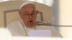 Papst Franziskus am 11. Oktober 2023 / Daniel Ibáñez / CNA Deutsch