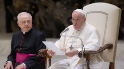 Papst Franziskus bei der Generalaudienz am 9. August 2023 / Daniel Ibáñez / CNA Deutsch