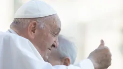 Papst Franziskus / Daniel Ibáñez / CNA Deutsch