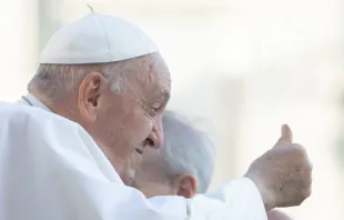 Papst Franziskus / Daniel Ibáñez / CNA Deutsch
