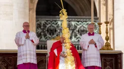 Papst Franziskus am Palmsonntag, 24. März 2024 / Bénédicte Cedergren / CNA Deutsch