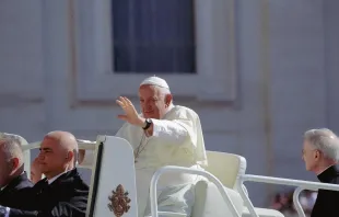 Papst Franziskus / Elizabeth Alva / CNA Deutsch