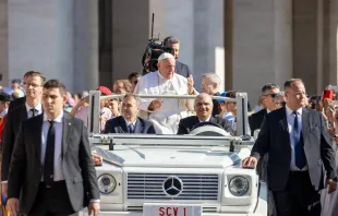 Papst Franziskus / Daniel Ibáñez / CNA Deutsch