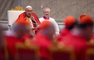 Papst Franziskus / Daniel Ibáñez / CNA