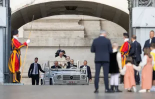 Generalaudienz mit Papst Franziskus / Daniel Ibáñez / CNA Deutsch