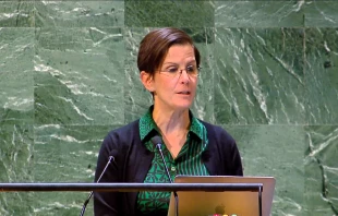 Die UN-Sonderberichterstatterin für Gewalt gegen Frauen und Mädchen, Reem Alsalem. / Screenshot von YouTube