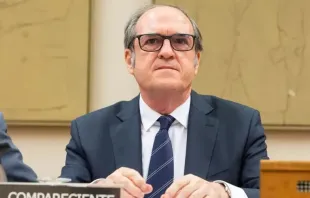 Ángel Gabilondo, spanischer Bürgerbeauftragter / Congreso de los Diputados España (Spanisches Abgeordnetenhaus) 