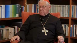 Kardinal Gerhard Müller / screenshot / YouTube / LSNTV