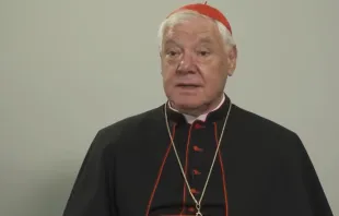 Kardinal Gerhard Müller / screenshot / YouTube / PCh24TV · Polonia Christiana