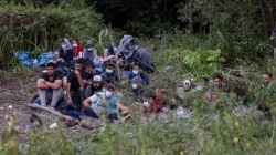 Eine Gruppe von Migranten, die an der Grenze zwischen Polen und Weißrussland in der Nähe des polnischen Dorfes Usnarz Górny festsitzen  / Wojtek Radwanski/AFP via Getty Images