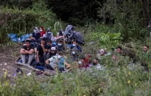 Eine Gruppe von Migranten, die an der Grenze zwischen Polen und Weißrussland in der Nähe des polnischen Dorfes Usnarz Górny festsitzen  / Wojtek Radwanski/AFP via Getty Images