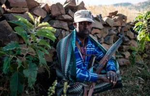 Ein Bauer und Miliz-Kämpfer im Nordwesten Äthiopiens.  / Eduardo Soteras/AFP über Getty Images
