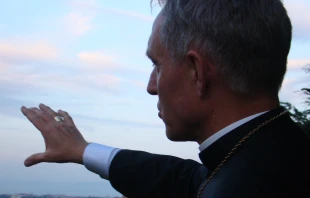 Erzbischof Gänswein auf dem Vatikan-Hügel / EWTN / CNA Deutsch