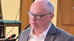 Martin Grünewald / CNA Deutsch