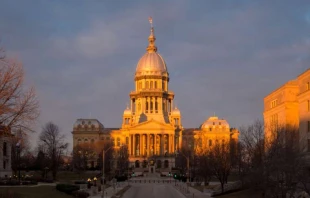 Das "State Capitol" von Illinois / E Fehrenbacher / Shutterstock