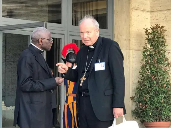 Kardinäle Robert Sarah und Christoph Schönborn vor der Synodenaula