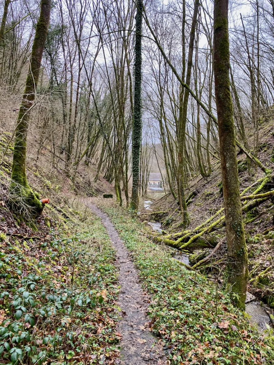 Pilger können sich dem Kloster auch über einen der Wanderwege ins Flaumbachtal nähern.