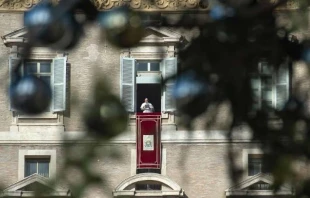 Papst Franziskus / Vatican Media