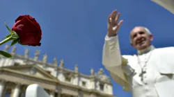 Papst Franziskus  / Daniel Ibanez / CNA Deutsch