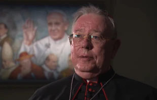 Kardinal Jean-Claude Hollerich SJ / screenshot / YouTube / Vatican News - English