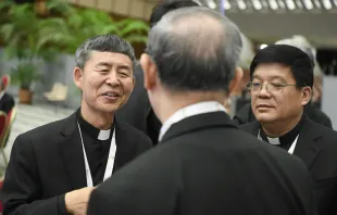 Bischof Antonio Yao Shun von Jining (links) und Bischof Joseph Yang Yongqiang von Zhouchun (rechts) im Oktober 2023 in Rom / Vatican Media