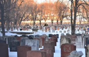 Friedhof (Symbolbild) / Joy Real / Unsplash