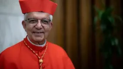 Kardinal Adalberto Martínez Flores / Daniel Ibañez/ACI Prensa