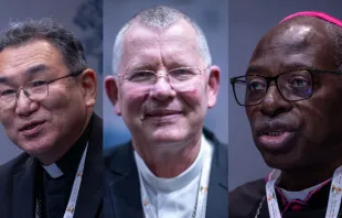 Erzbischof Tarcisio Isao Kikuchi, SVD; Erzbischof Jaime Spengler, OFM; Erzbischof Ignace Bessi Dogbohe / Daniel Ibáñez / EWTN News