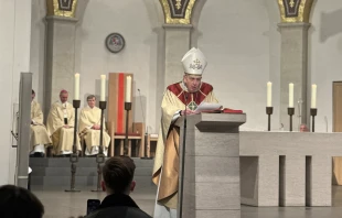 Kardinal Kurt Koch bei seiner Predigt am 9. November 2025 im Hamburger Mariendom. / Rudolf Gehrig / CNA Deutsch