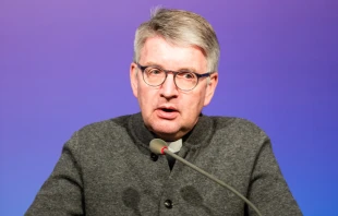 Bischof Peter Kohlgraf / Synodaler Weg / Maximilian von Lachner