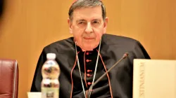Kardinal Kurt Koch / Daniel Ibáñez / CNA Deutsch