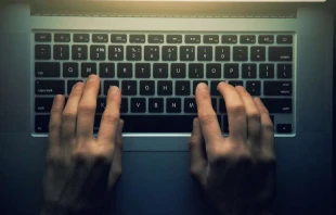 Tastatur eines Laptops (Referenzbild) / A and I Kruk/Shutterstock