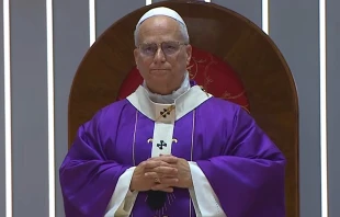 Papst Leo XIV. in Istanbul / screenshot / Vatican Media