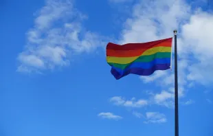 Regenbogenflagge der LGBT-Bewegung / GK von Skoddeheimen / Pixabay