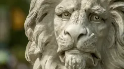 Ist die majestätische Würde des Löwen manchen Menschen wichtiger als die des Menschen? / Plasterbrain via Pixabay