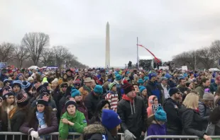 Teilnehmer am March for Life 2019 in Washington / Christine Rousselle / CNA Deutsch