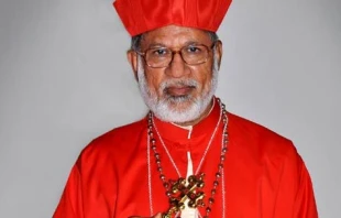 Kardinal Alencherry / Emmanuel Parekkattu  / Wikimedia (CC BY-SA 4.0)