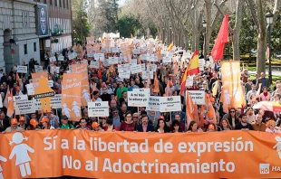 Demonstranten in Madrid bei der #ManifestaciónPorLaLibertad / ACI Prensa via Hazteoir.org 